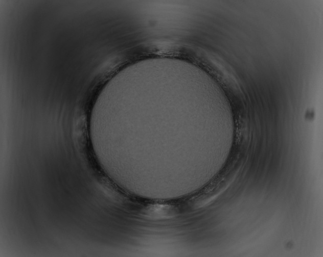 X0000102810748200809081108