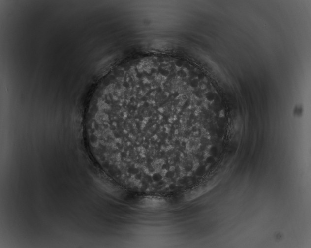 X0000102810749200809081108