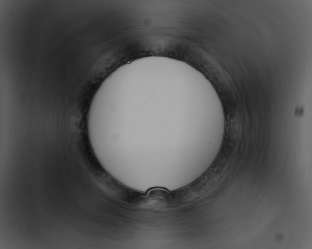 X0000102810750200809081108