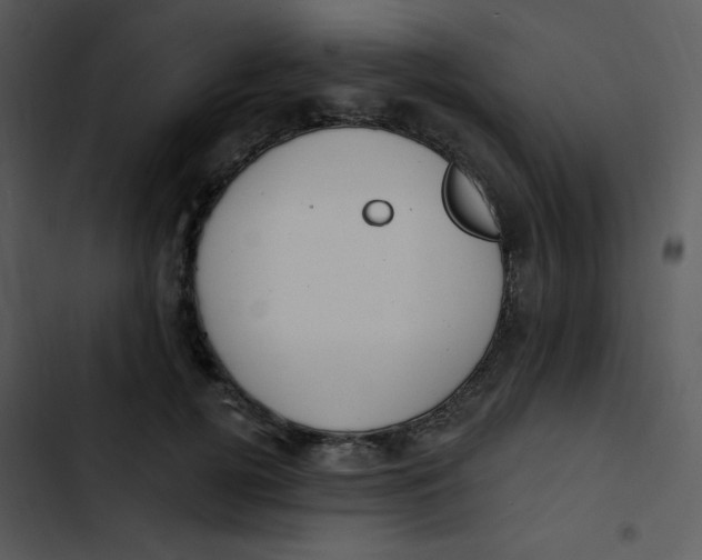 X0000102810752200809081108