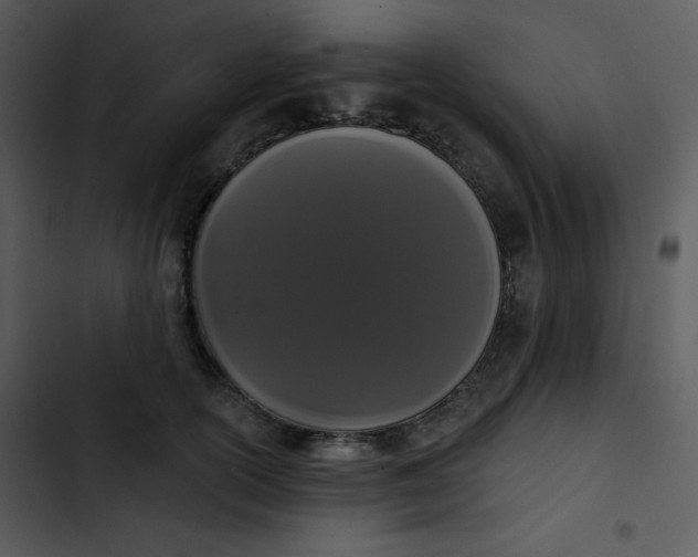 X0000102810754200809081108