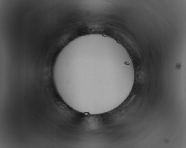 X0000102810756200809081108