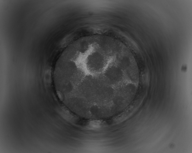 X0000102810757200809081108