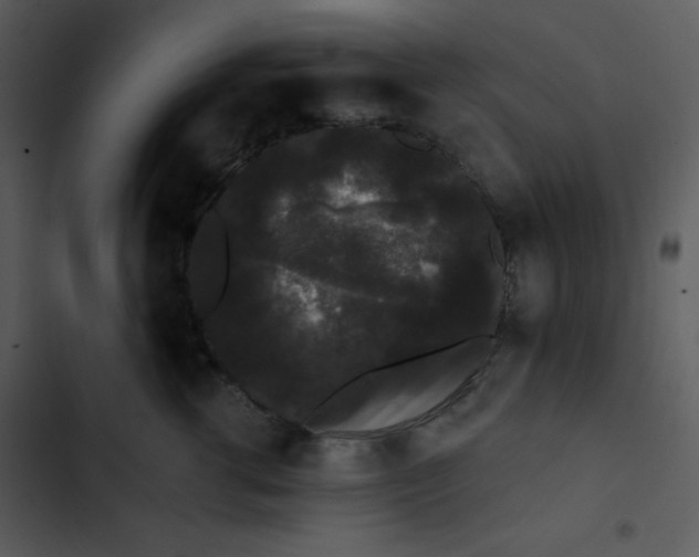 X0000102810762200809081108