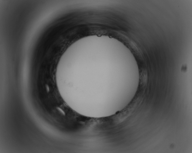 X0000102810764200809081108