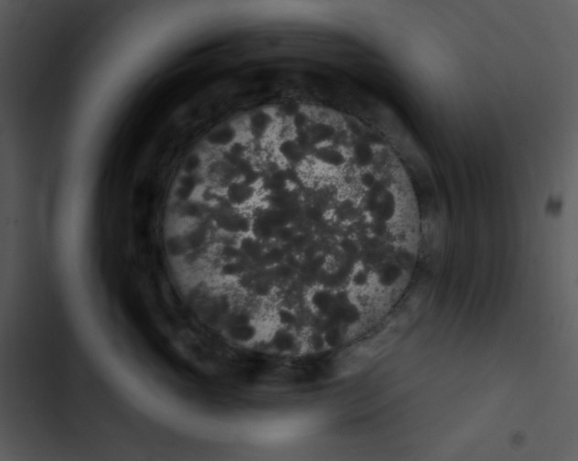 X0000102810765200809081108