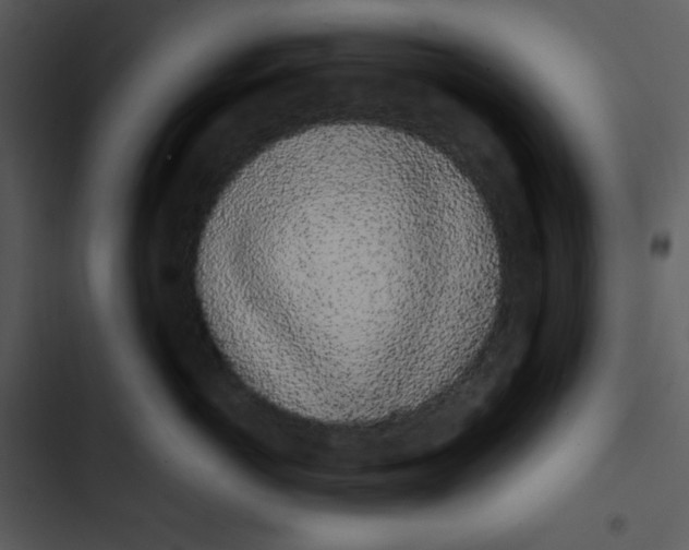 X0000102810766200809081108