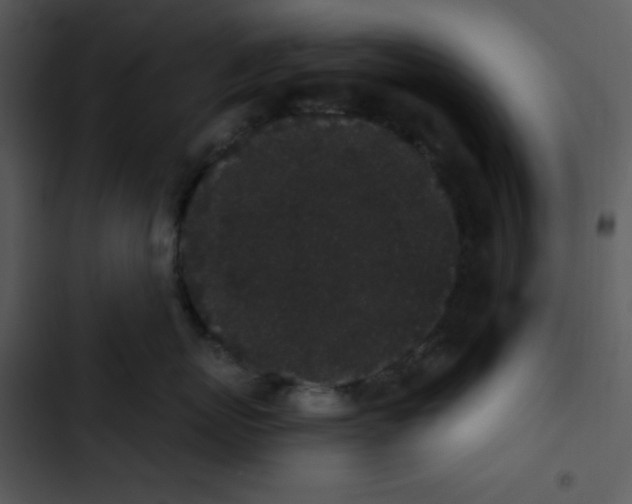 X0000102810767200809081108