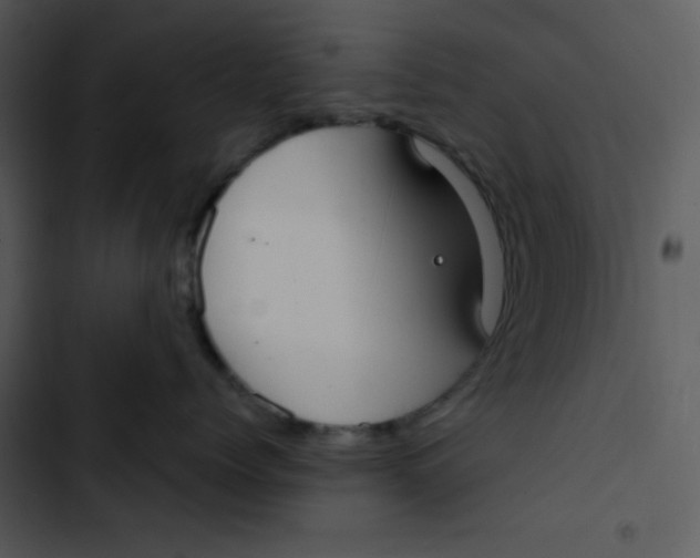 X0000102810768200809081108