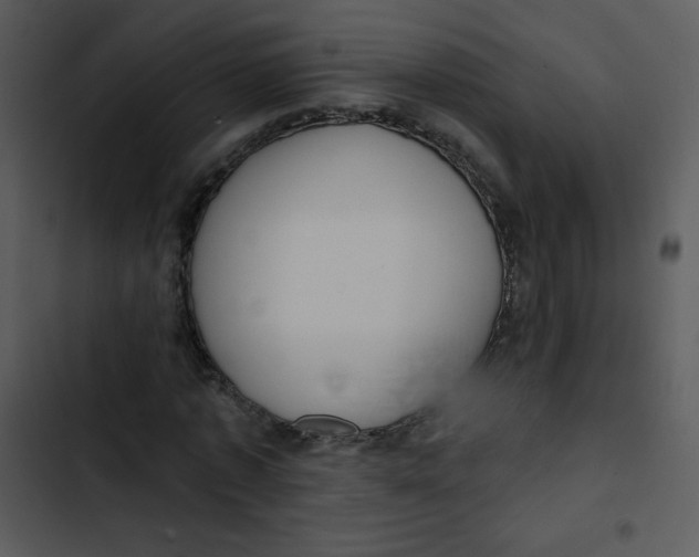 X0000102810773200809081107