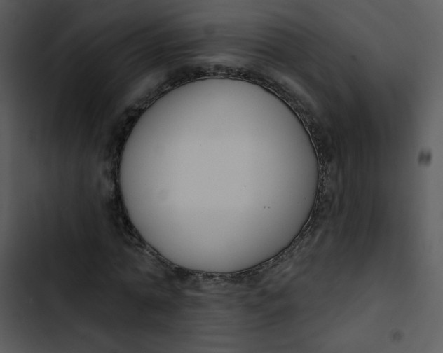 X0000102810774200809081107