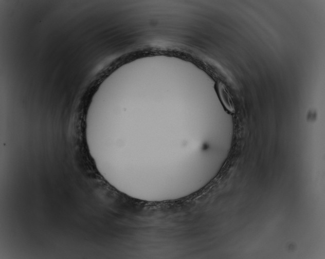 X0000102810776200809081107