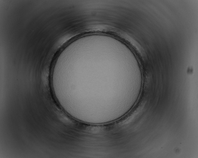 X0000102810778200809081107