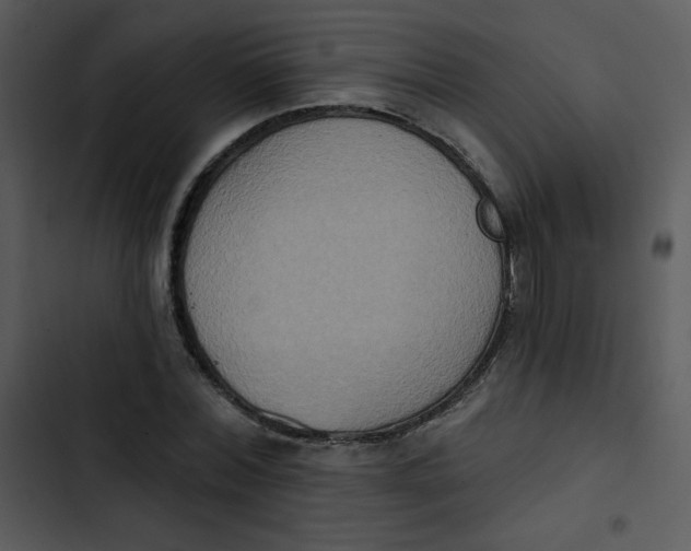 X0000102810780200809081107