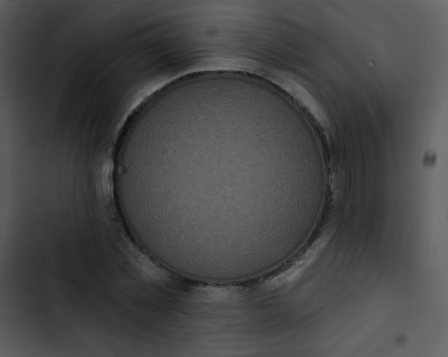 X0000102810781200809081107