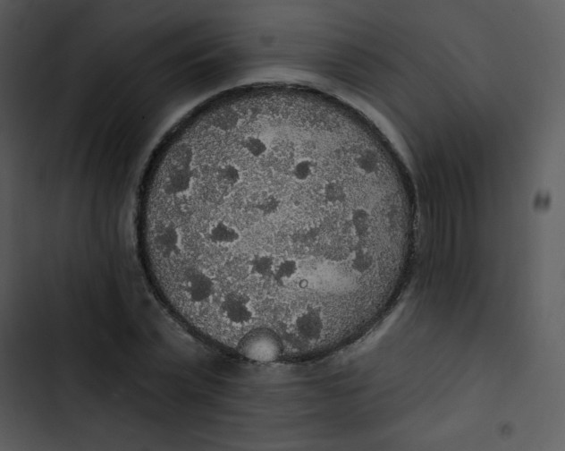 X0000102810783200809081107