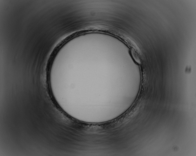 X0000102810784200809081107