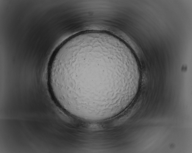 X0000102810787200809081107