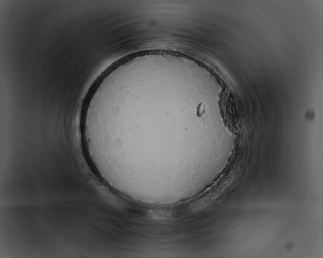 X0000102810788200809081107