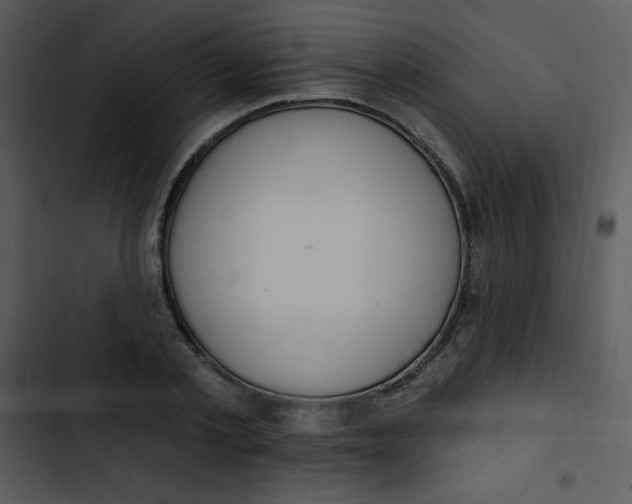 X0000102810789200809081107