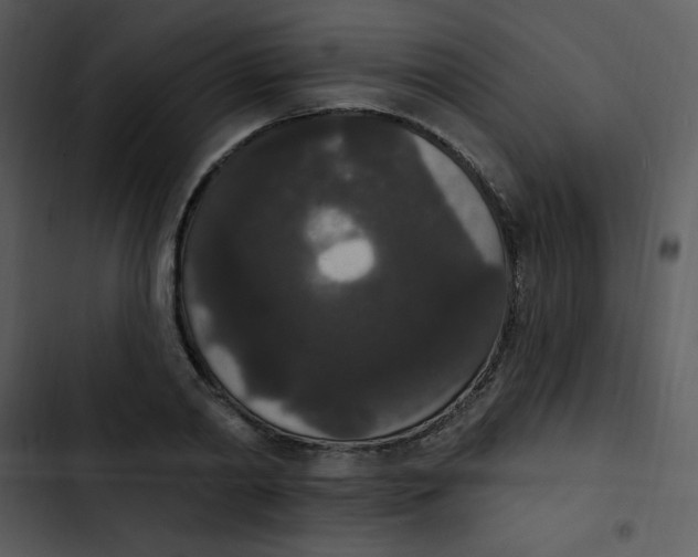 X0000102810790200809081107