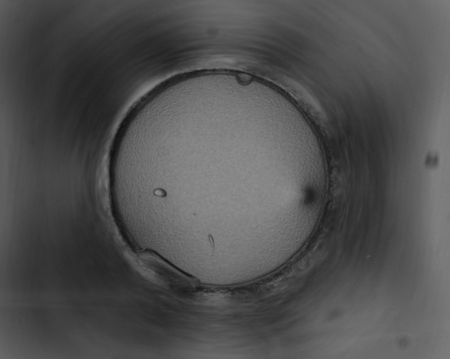 X0000102810792200809081107