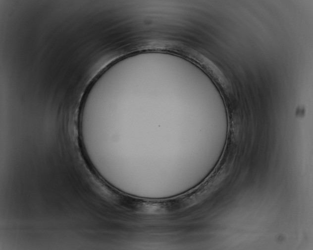 X0000102810794200809081107