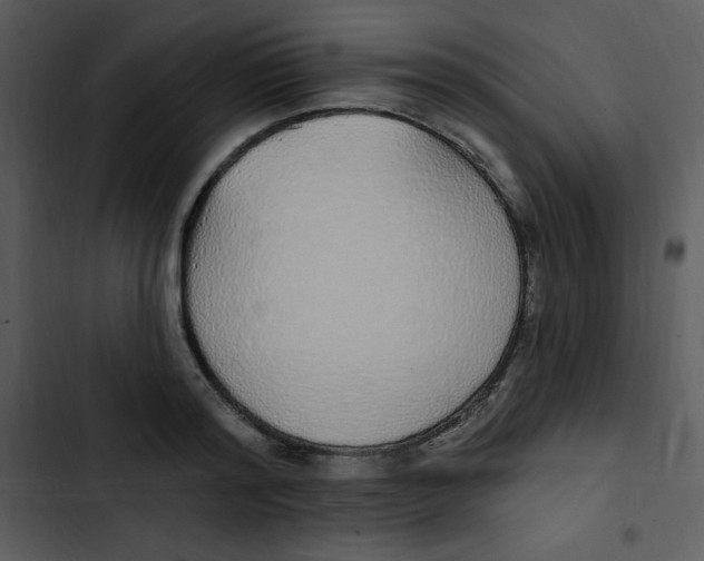 X0000102810796200809081107