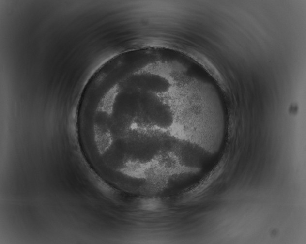 X0000102810798200809081107