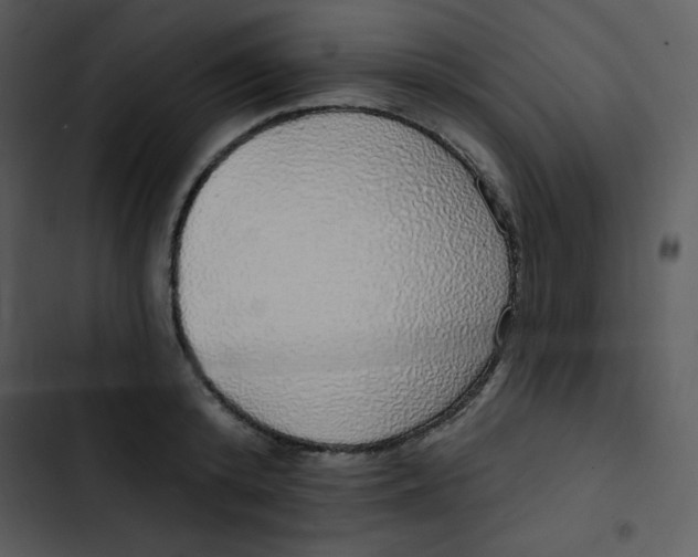 X0000102810800200809081107