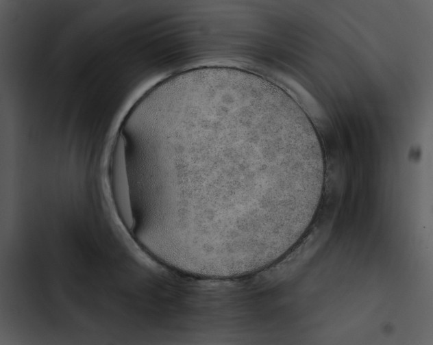 X0000102810804200809081107