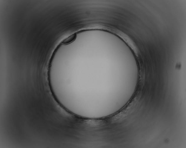 X0000102810805200809081107