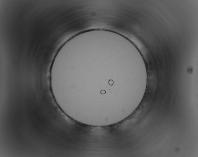 X0000102810807200809081107