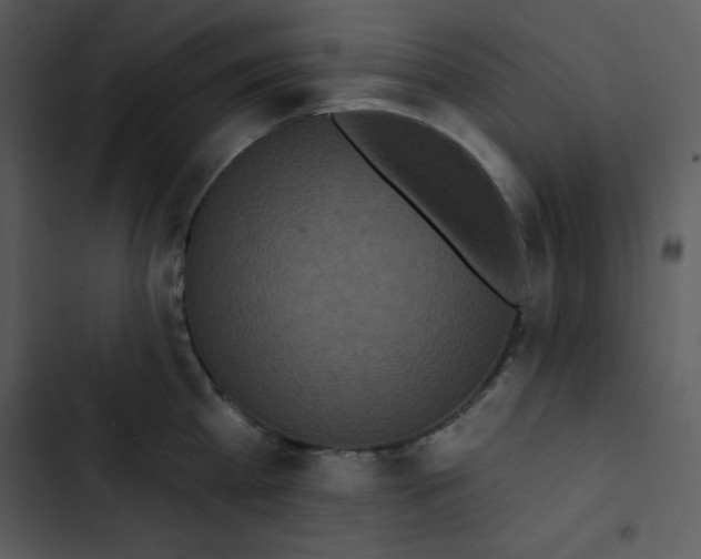 X0000102810809200809081107