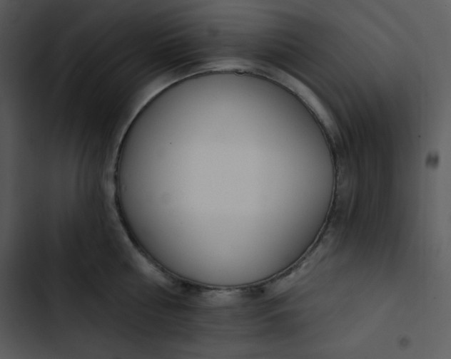 X0000102810810200809081107