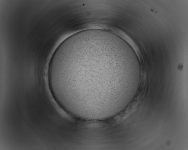 X0000102810811200809081107