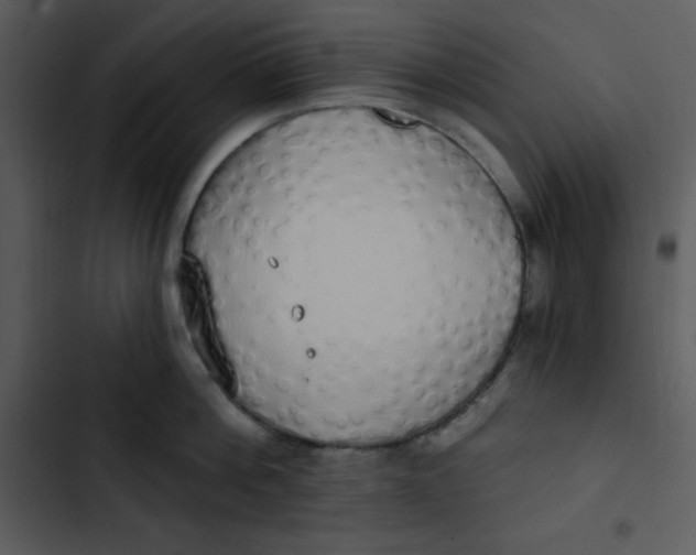 X0000102810812200809081107