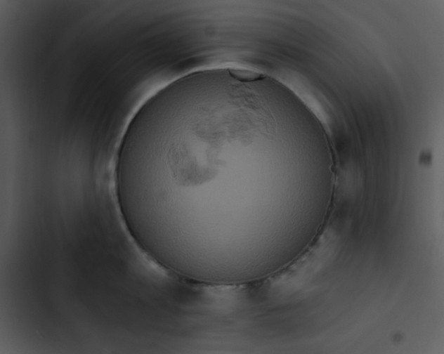 X0000102810813200809081107