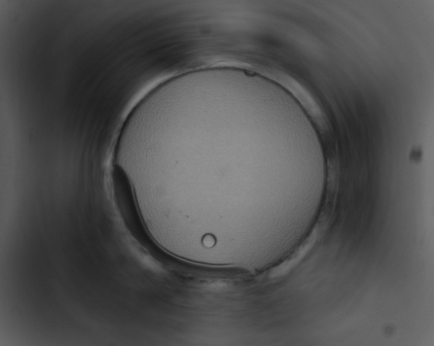 X0000102810814200809081107