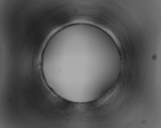 X0000102810815200809081107