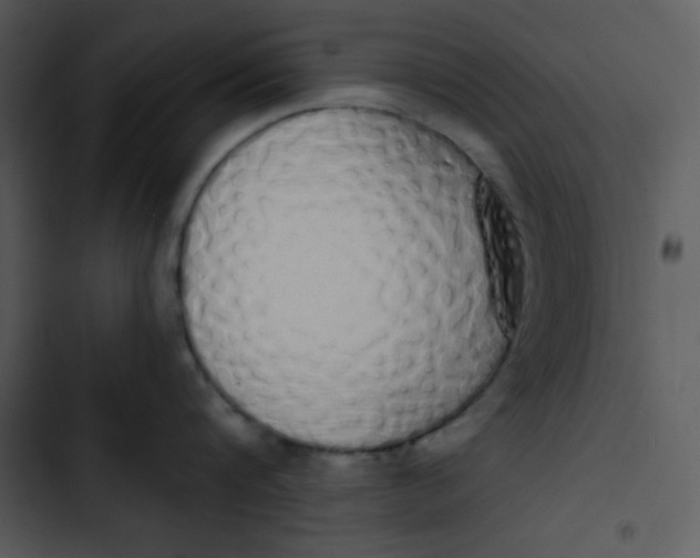 X0000102810816200809081107