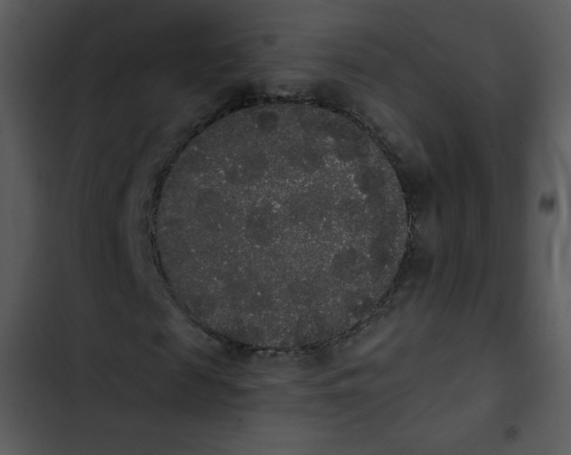 X0000102810817200809081106