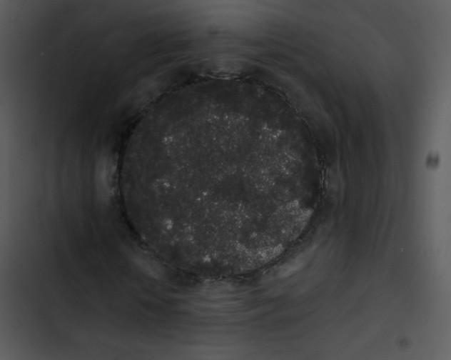 X0000102810818200809081106