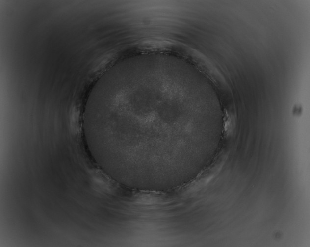 X0000102810819200809081106