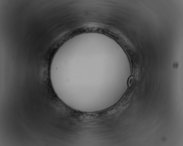 X0000102810821200809081106