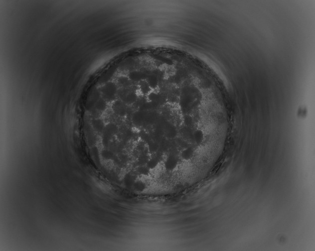 X0000102810823200809081106