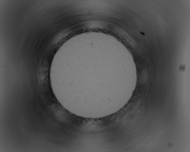 X0000102810824200809081106