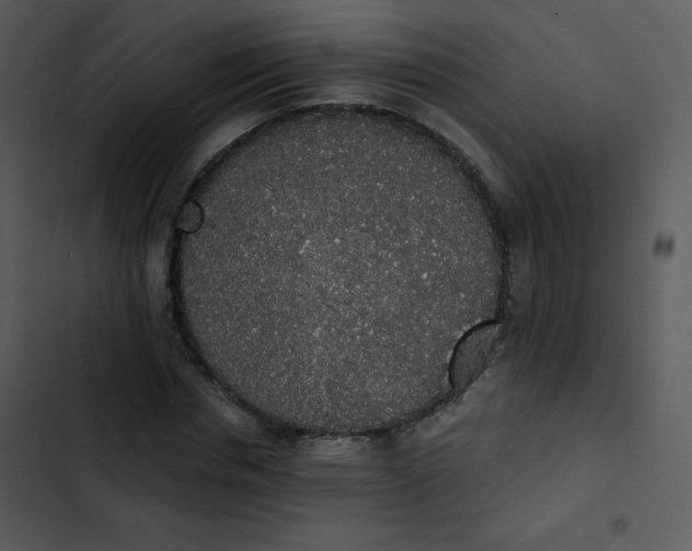 X0000102810826200809081106