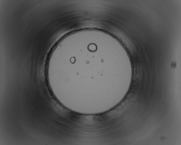 X0000102810828200809081106