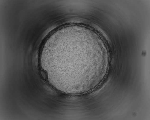 X0000102810829200809081106